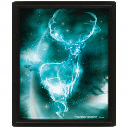 Cadre Harry Potter Effet Animé 3D Expecto Patronum