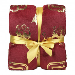 Couverture de Flanelle Harry Potter Modèle Deluxe