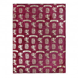 Couverture de Flanelle Harry Potter Modèle Deluxe
