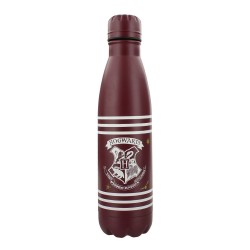 Bouteille Métallique Harry Potter Poudlard