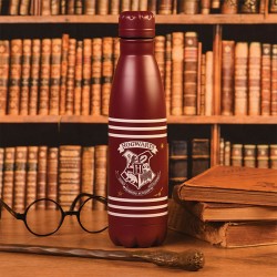 Bouteille Métallique Harry Potter Poudlard