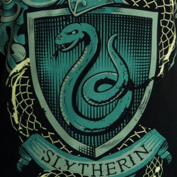 T-Shirt Harry Potter Noir Armoiries de Serpentard