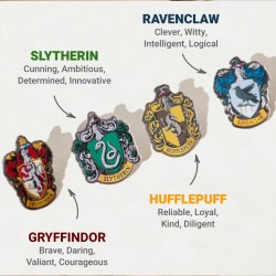 Badge Harry Potter Blason Maison