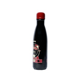 Bouteille Thermos Harry Potter 500 ml