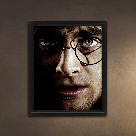 Cadre Harry Potter / Voldemort Effet Animé 3D