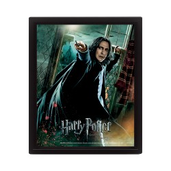 Cadre Harry Potter / Severus Rogue Les Reliques de la Mort Effet Animé 3D