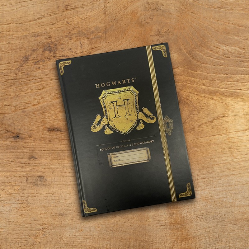 Carnet Harry Potter et stylo baguette magique pour écolier sur Logeekdesign