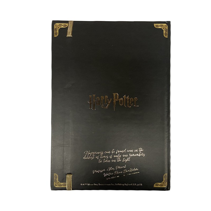 Set stylo et crayon Harry Potter baguettes magiques sur Cec Design