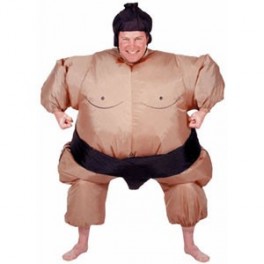 Vous avez toujours rêvé d'être dans la peau d'un sumo ?