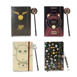 Set Journal Intime et Stylo Harry Potter