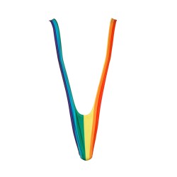 Mankini Arc-en-Ciel Multicolore Insolite