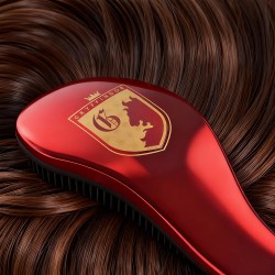 Brosse à Cheveux Harry Potter Blason Gryffondor