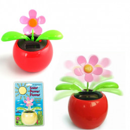 Fleur Solaire Dansante