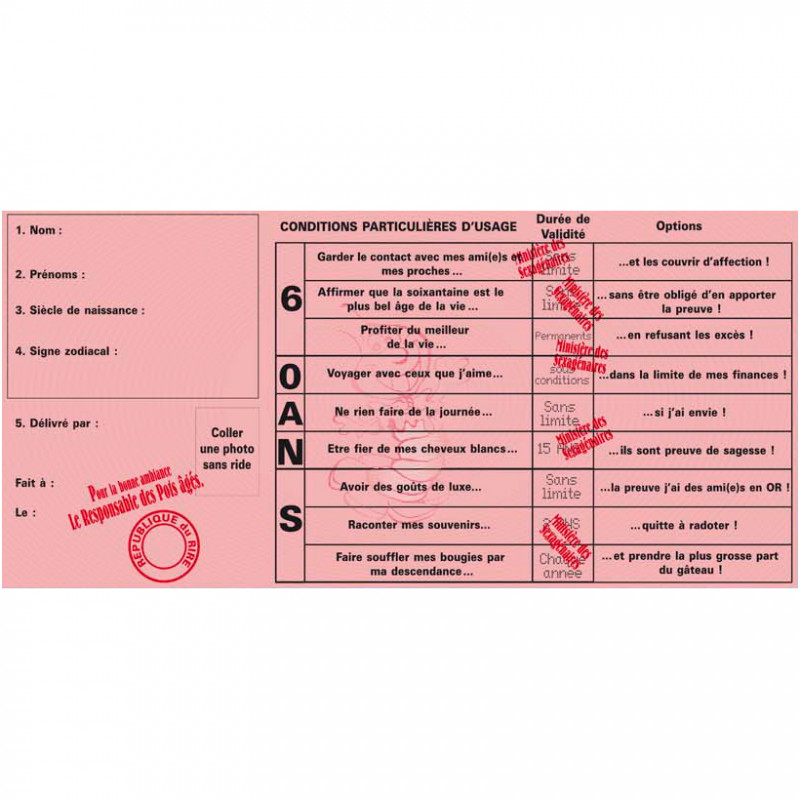 Permis de Prendre La Retraite Cadeau Retraite sur Cadeaux et Anniversaire