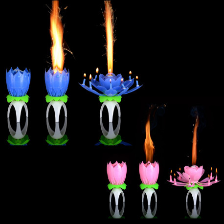 Les bougies d'anniversaire magiques en forme de fleurs