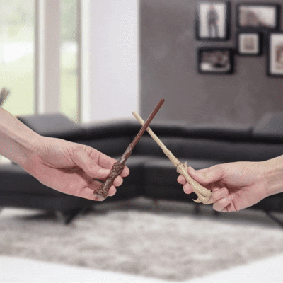 Set stylo et crayon baguettes magiques HP et Voldemort